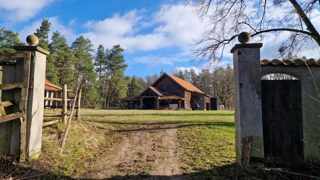 Апартаменти Krolowa Luiza I Wiking Старе-Яблонкі Екстер'єр фото